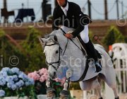 SANTUCCICampionati Italiani 2013, Cattolica, foto di Stefano Secchi ©, Horse Riviera Resort, CASSIOPY, SANTUCCI CASSIOPY ItaAss2013- S5 1166 : CASSIOPY, Campionati Italiani 2013, Cattolica, Horse Riviera Resort, SANTUCCI FRANCO, foto di Stefano Secchi ©